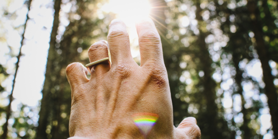 The Healing Power of Words