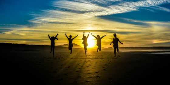 Unlocking Non-Profit Potential Insights from Empowering Non-Profit Success