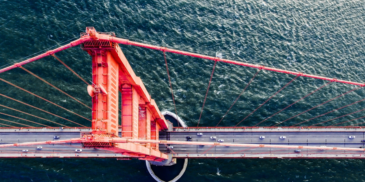 The Road to Runways- A Beginner's Guide to Becoming a Professional Model