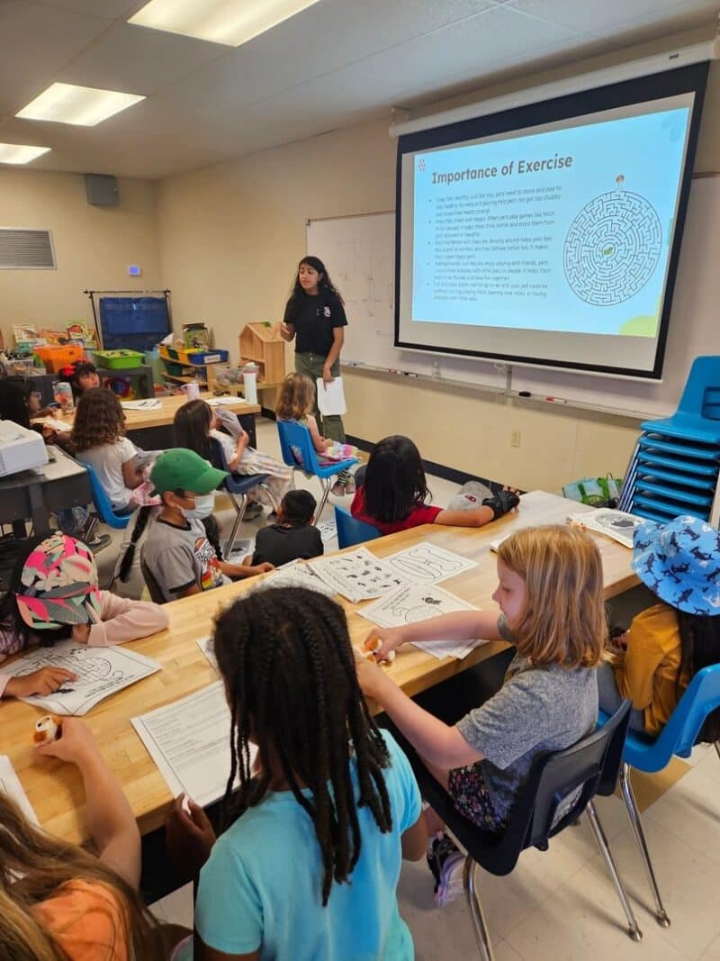 Serena Gandhi's Girl Scout Gold Award Project: Teaching Kids to Care, One Stuffed Animal at a Time