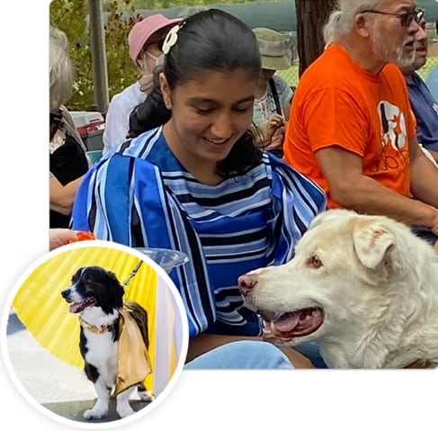 Serena Gandhi's Girl Scout Gold Award Project: Teaching Kids to Care, One Stuffed Animal at a Time