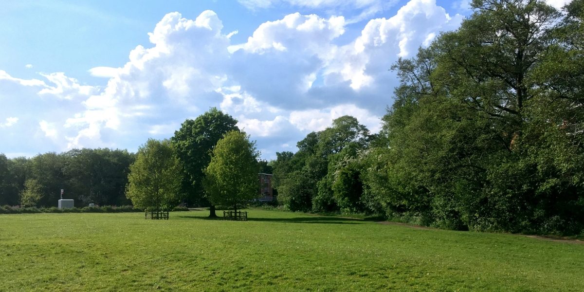 Why Expanding Green Spaces Is Essential For Healthier, More Connected Communities